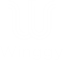 logo de winggy